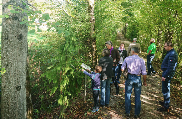 Baum-Lehrpfad an der Rottach